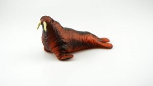 WILD LIFE SOFT ANIMALI MARINI 6 ASS. - immagine 7